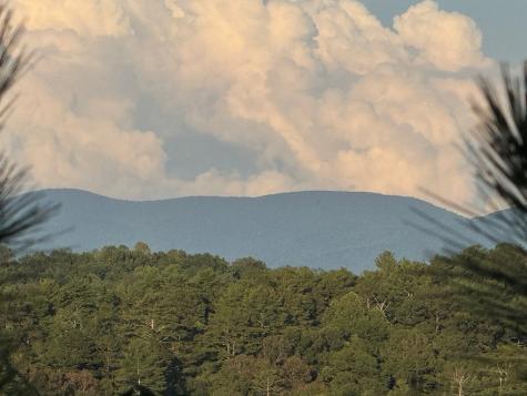 Lt 115 Ridge Wood Trail Ellijay GA 30546