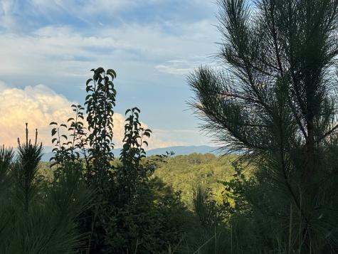 Lt 115 Ridge Wood Trail Ellijay GA 30546