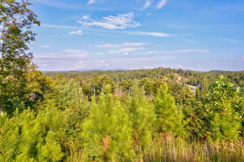 Lt 115 Ridge Wood Trail Ellijay GA 30546