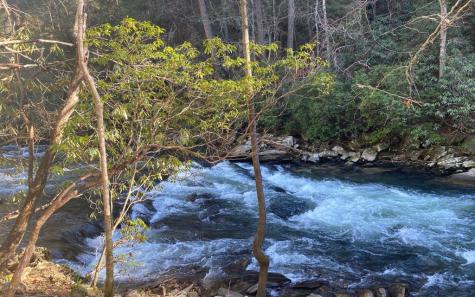 Lt 115 Ridge Wood Trail Ellijay GA 30546