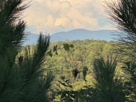 Lt 115 Ridge Wood Trail Ellijay GA 30546