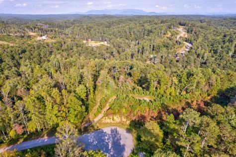 Lt 115 Ridge Wood Trail Ellijay GA 30546