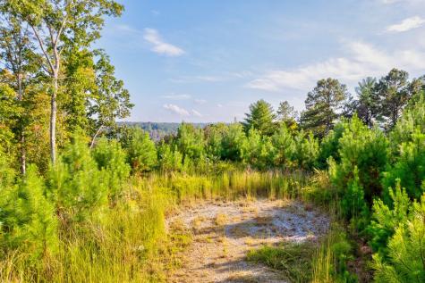 Lt 115 Ridge Wood Trail Ellijay GA 30546