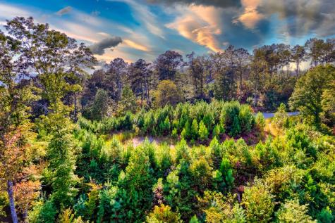 Lt 115 Ridge Wood Trail Ellijay GA 30546