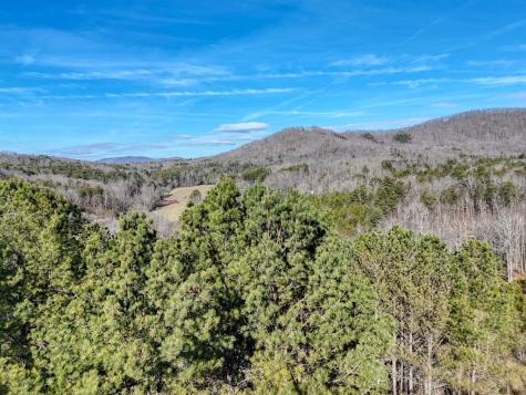 Lot 14 Pinehurst Blairsville GA 30512