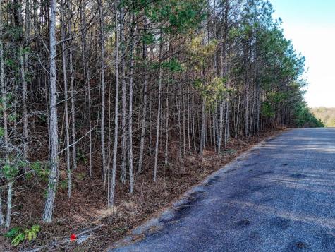 Lot 14 Pinehurst Blairsville GA 30512
