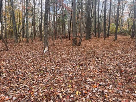 0 Doll Mountain Road Ellijay GA 30540