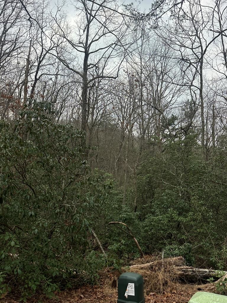 Lot 13 Sapphire Ridge Blue Ridge GA 30513