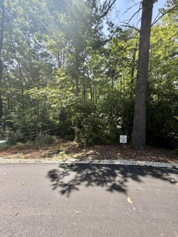 Lot 13 Sapphire Ridge Blue Ridge GA 30513