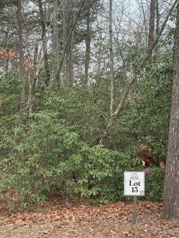 Lot 13 Sapphire Ridge Blue Ridge GA 30513