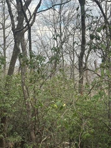 Lot 13 Sapphire Ridge Blue Ridge GA 30513
