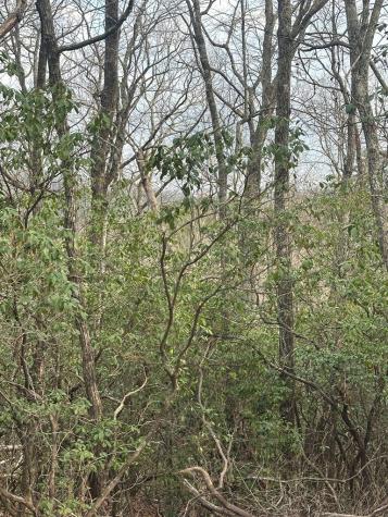 Lot 13 Sapphire Ridge Blue Ridge GA 30513