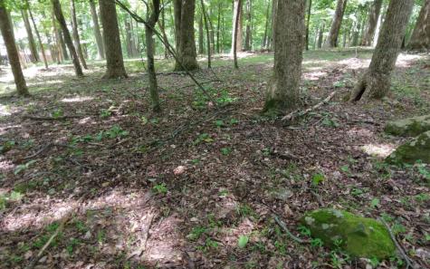 M213 Walnut Ridge Ellijay GA 30536