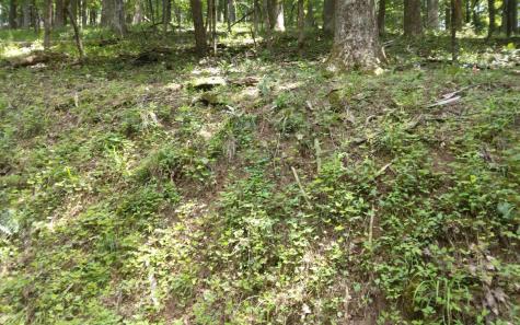 M213 Walnut Ridge Ellijay GA 30536