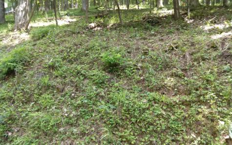 M213 Walnut Ridge Ellijay GA 30536