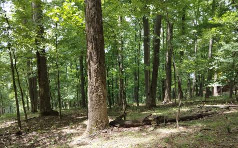 M213 Walnut Ridge Ellijay GA 30536