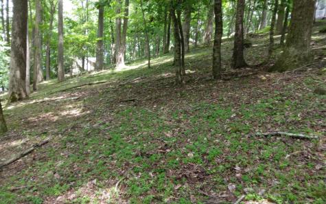 M213 Walnut Ridge Ellijay GA 30536