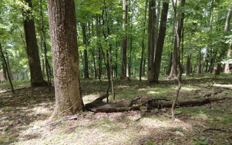 M213 Walnut Ridge Ellijay GA 30536