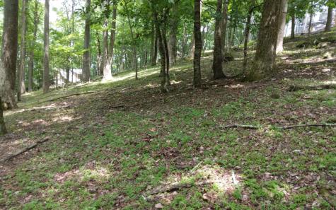 M213 Walnut Ridge Ellijay GA 30536