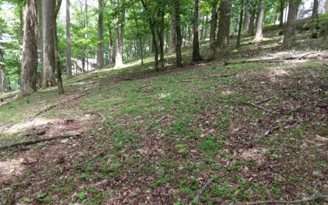 M213 Walnut Ridge Ellijay GA 30536