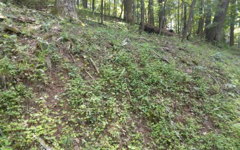 M213 Walnut Ridge Ellijay GA 30536