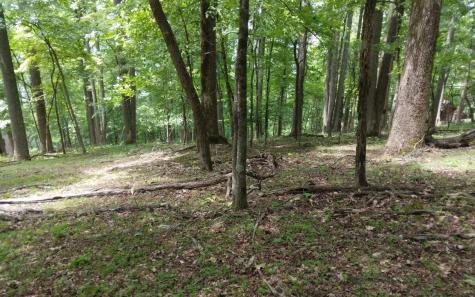 M213 Walnut Ridge Ellijay GA 30536