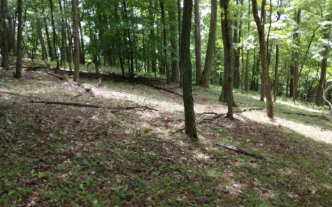 M213 Walnut Ridge Ellijay GA 30536