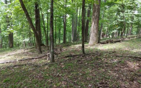 M213 Walnut Ridge Ellijay GA 30536