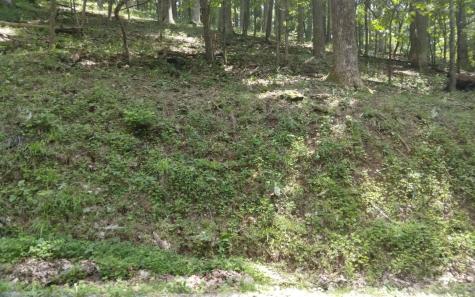 M213 Walnut Ridge Ellijay GA 30536