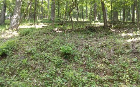 M213 Walnut Ridge Ellijay GA 30536