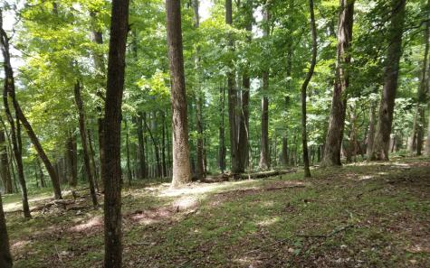 M213 Walnut Ridge Ellijay GA 30536