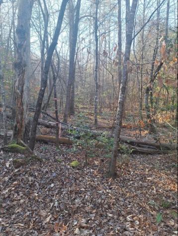 Lots Mill Creek Acres Blue Ridge GA 30513