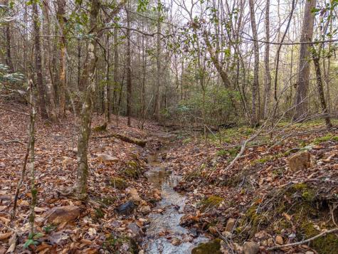 Trail A E New Hope Road E Ellijay GA 30536