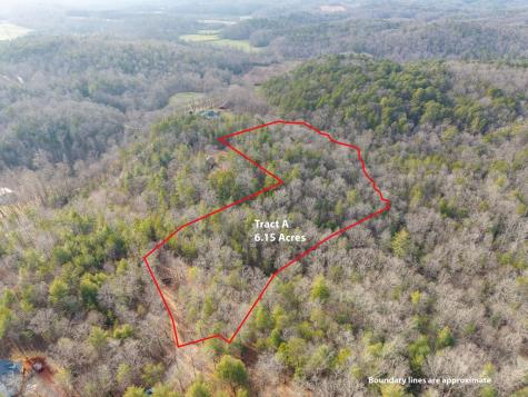 Trail A E New Hope Road E Ellijay GA 30536