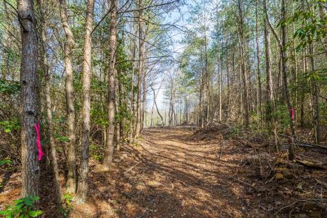 Trail A E New Hope Road E Ellijay GA 30536
