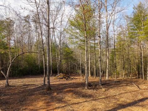 Trail A E New Hope Road E Ellijay GA 30536