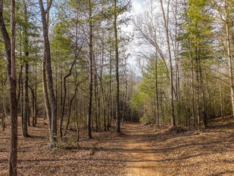 Trail A E New Hope Road E Ellijay GA 30536