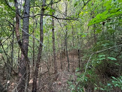 Tract 1 Kyle-arp Blue Ridge GA 30513