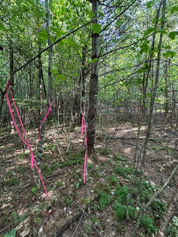 Tract 1 Kyle-arp Blue Ridge GA 30513