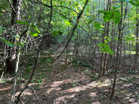 Tract 1 Kyle-arp Blue Ridge GA 30513