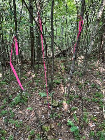 Tract 1 Kyle-arp Blue Ridge GA 30513