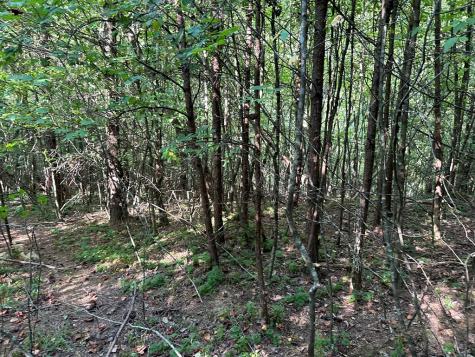 Tract 1 Kyle-arp Blue Ridge GA 30513