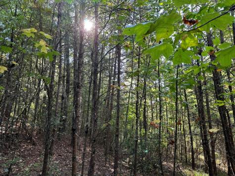 Tract 1 Kyle-arp Blue Ridge GA 30513