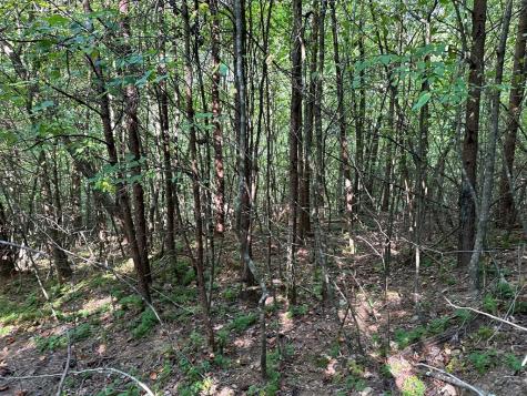 Tract 1 Kyle-arp Blue Ridge GA 30513