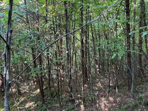 Tract 1 Kyle-arp Blue Ridge GA 30513