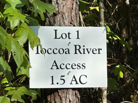 Tract 1 Kyle-arp Blue Ridge GA 30513