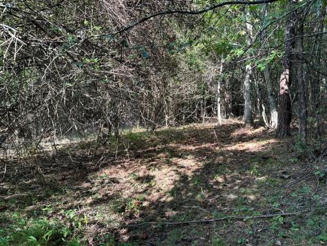 Tract 1 Kyle-arp Blue Ridge GA 30513