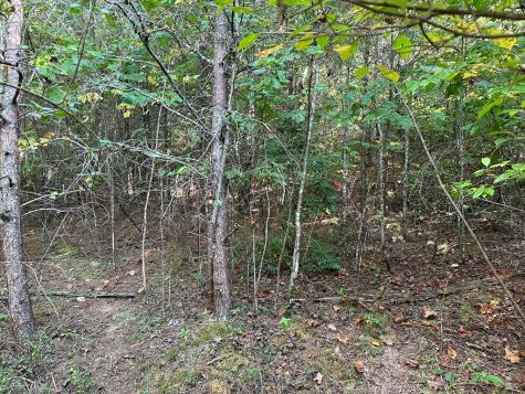 Tract 1 Kyle-arp Blue Ridge GA 30513