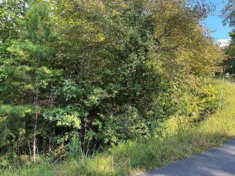 Tract 1 Kyle-arp Blue Ridge GA 30513