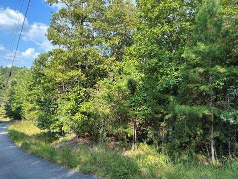 Tract 1 Kyle-arp Blue Ridge GA 30513